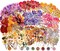 380 Pcs Natural Flower Scrapbook Stickers - Garden 8.7 x 7.5 x 0.1 inches